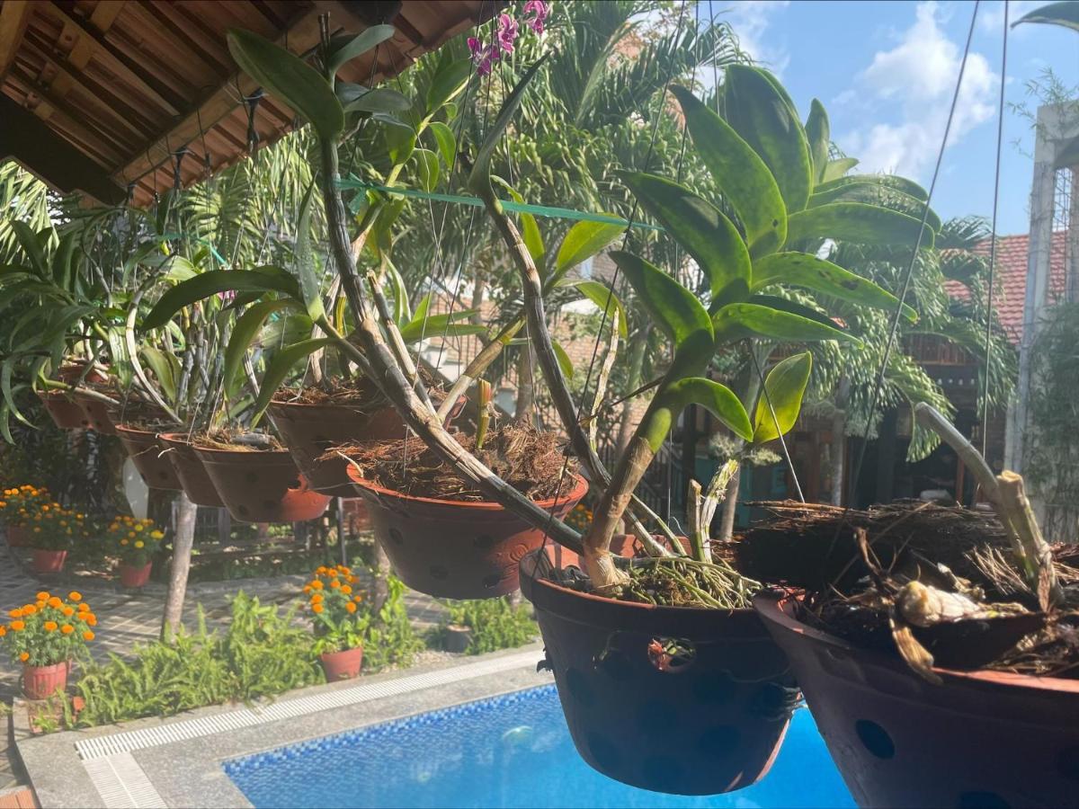 Ambedo Hotel دونغ دونغ المظهر الخارجي الصورة